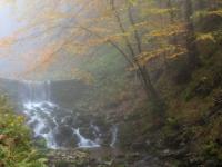 Neblige Herbststimmung mit Wasserfall im Lochgraben